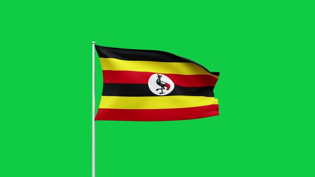 Uganda flag waving in the wind on green screen background. 3d rendering, Digital animation footage for video content, social media, reels etc. High quality 4K resolution
