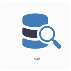 Audit and Big data icon concept