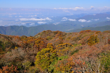 伊吹山ドライブウェイの紅葉