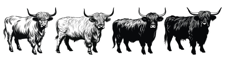 Set of Highland Cow Black Color Vector Illustration - obrazy, fototapety, plakaty