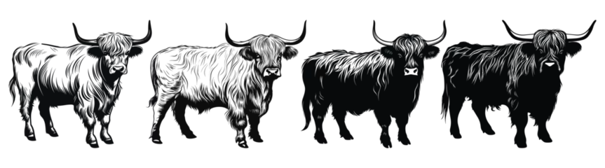 Foto op Aluminium Set of Highland Cow Black Color Vector Illustration © Design Spread