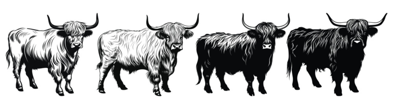 Set of Highland Cow Black Color Vector Illustration
