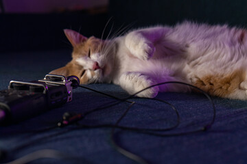 Cute white-red kitten lies on the sofa near the microphone with wires