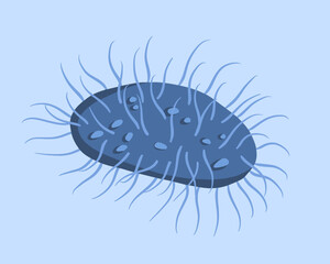 Vector isolated illustration inguinal granuloma bacterium.