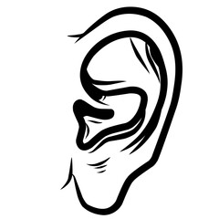 Human ear drawn sketch 