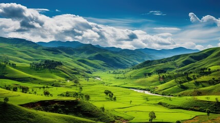 Fototapeta premium landscape with mountains