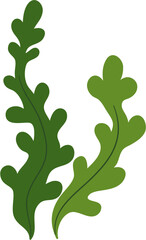 seaweed clipart © vikakura