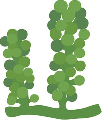 seaweed clipart
