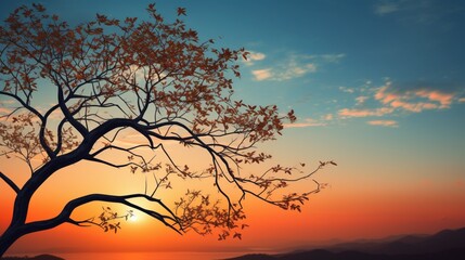 The silhouette of a young tree against a dawn sky, its branches adorned with fresh spring leaves.