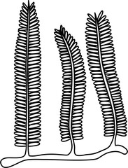 seaweed outline clipart