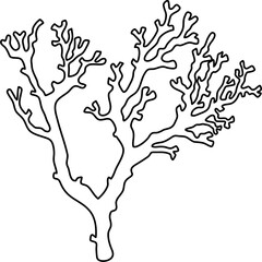 Fototapeta premium seaweed outline clipart