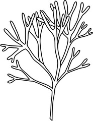 seaweed outline clipart