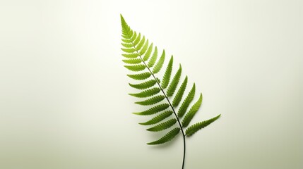 Minimalistic Superb Clean Image of Abstract Fern AI Generated