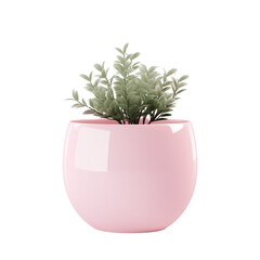 Potted plants for home decoration on transparent background PNG