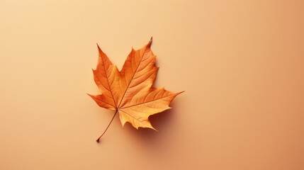 Minimalistic Autumn Leaf AI Generated