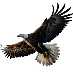 Flying Eagle Illustration Art With a Transparent Background Generative AI