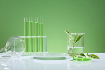 Test tube containing a light green liquid, fresh green tea leaves in a petri dish, transparent round stand used for displaying products. Green tea rich in antioxidants, slows down the aging process.