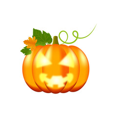 halloween pumpkin with leaf, isolated on white background