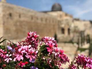 Mosquée Al-Aqsa à Jérusalem