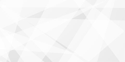 Abstract background with white and gray and geometric style with simple lines and corners, polygons as background geometric style with simple lines and corners, polygons as background paper texture	