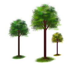 Obraz premium three trees on a white background