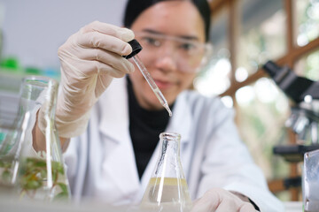 Young Scientist woman, laboratory and test tube with plants, research and analysis of leaves for ecology. science expert, health and care study of plant for pharma, medicine or sustainable medicine.