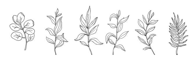 Palm, eucalyptus leaves line art set, hand drawn vector illustration, isolate on white background