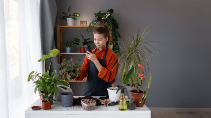 Child using mobile phone, smartphone taking photo of pot, houseplant with dirt soil on table at home, gardening tree plant in garden farm.