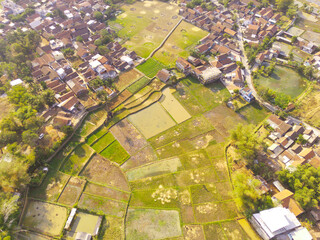Drone Photography. Aerial Landscape of Spacious Rice Fields in the countryside of Bandung City -...