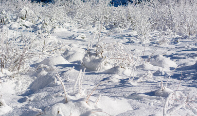 the mountain meadows covered in snow
