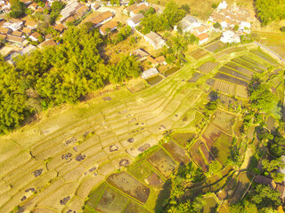 Drone Photography. Aerial Landscape of Spacious Rice Fields in the countryside of Bandung City -...