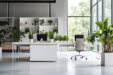 White color theme modern style office with exposed concrete floor and a lot of plant