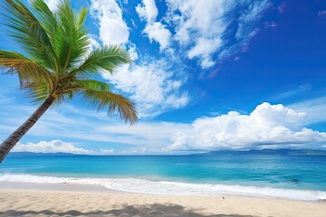 Fototapeta na wymiar Aerial View of Beach: Palm Tree on Tropical Beach - Blue Sky, White Clouds Abstract Background