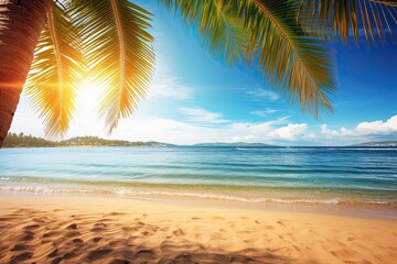 Beach Theme Background: Stunning Palm Tree Beach Imagery for a Refreshing Escape