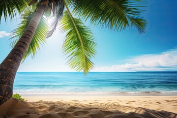 Idyllic Beach View with Palm Tree: The Perfect Vacation Spot for a Relaxing Getaway