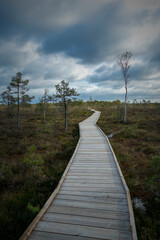 Obraz premium boardwalk in the forest, Rannametsa-Tolkuse nature trail