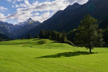 Herbstlich gefärbte Berglandschaft in den Allgäuer Alpen