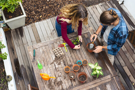 Overhead of caucasian couple potting plants at table on decking in garden, copy space