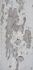 vintage white wall cracked texture