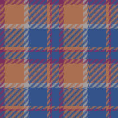 Plaid seamless pattern in blue. Check fabric texture. Vector textile print.