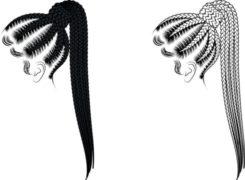 Cornrow Braid Hairstyles Vector - Braids hair illustration
