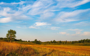 Oronoco Prairie Meadow in Summer in Southeast Minnesota