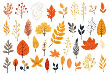 Obraz premium Leaf autumn background set plant nature design pattern graphic illustration art print abstract decorative