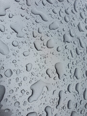 Drops of water on a color background. Gray