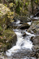 Naklejka na ściany i meble Fast flowing water falls amid rocks and woodland