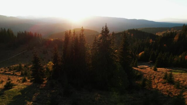 Panoramic view of the beautiful autumn mountains of the Carpathians. Frame from a 4k drone