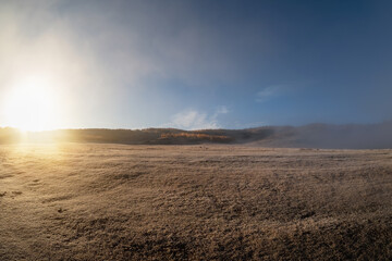 Sunny natural background, dawn over an autumn field, Copy space.