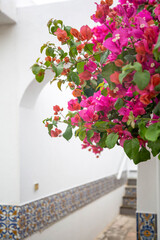 Arched passage to the building decorated with a flowering bougainville tree. Traditional Mediterranean architecture. Vertical image.