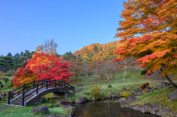 中野ダム公園の紅葉