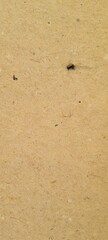 paper background. cardboard texture background